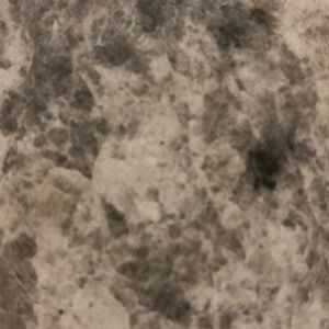 Meet your Posher, Judy